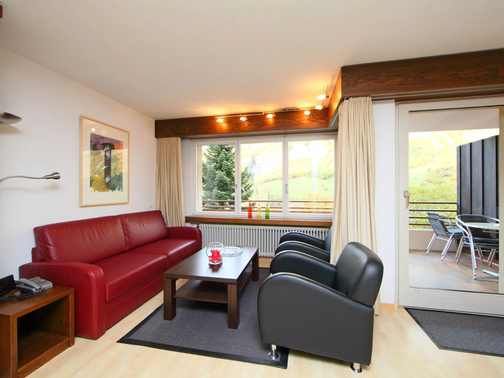 Ringstrasse Apt 213 - Inside