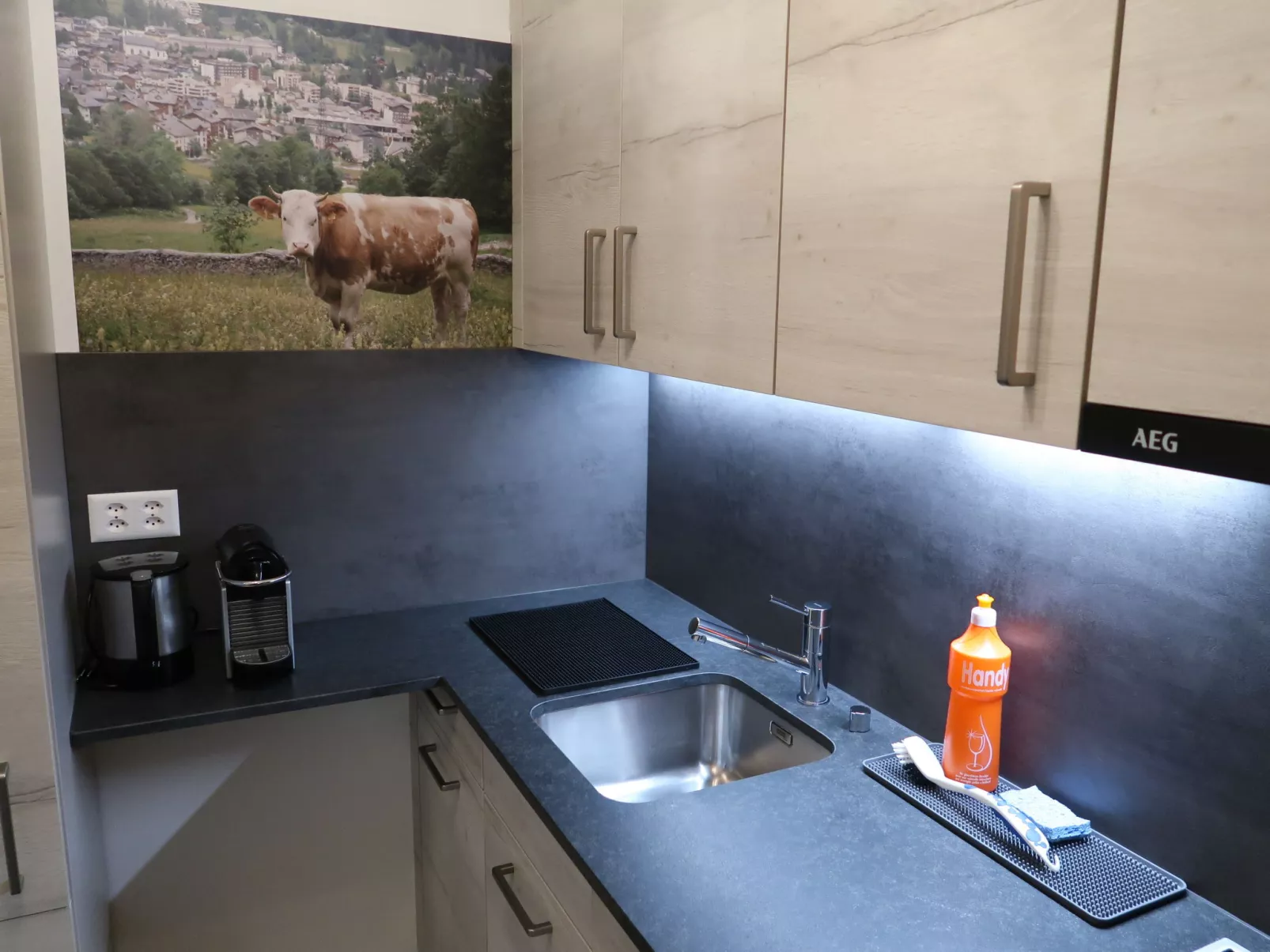 Ringstrasse Apt 213 - Inside
