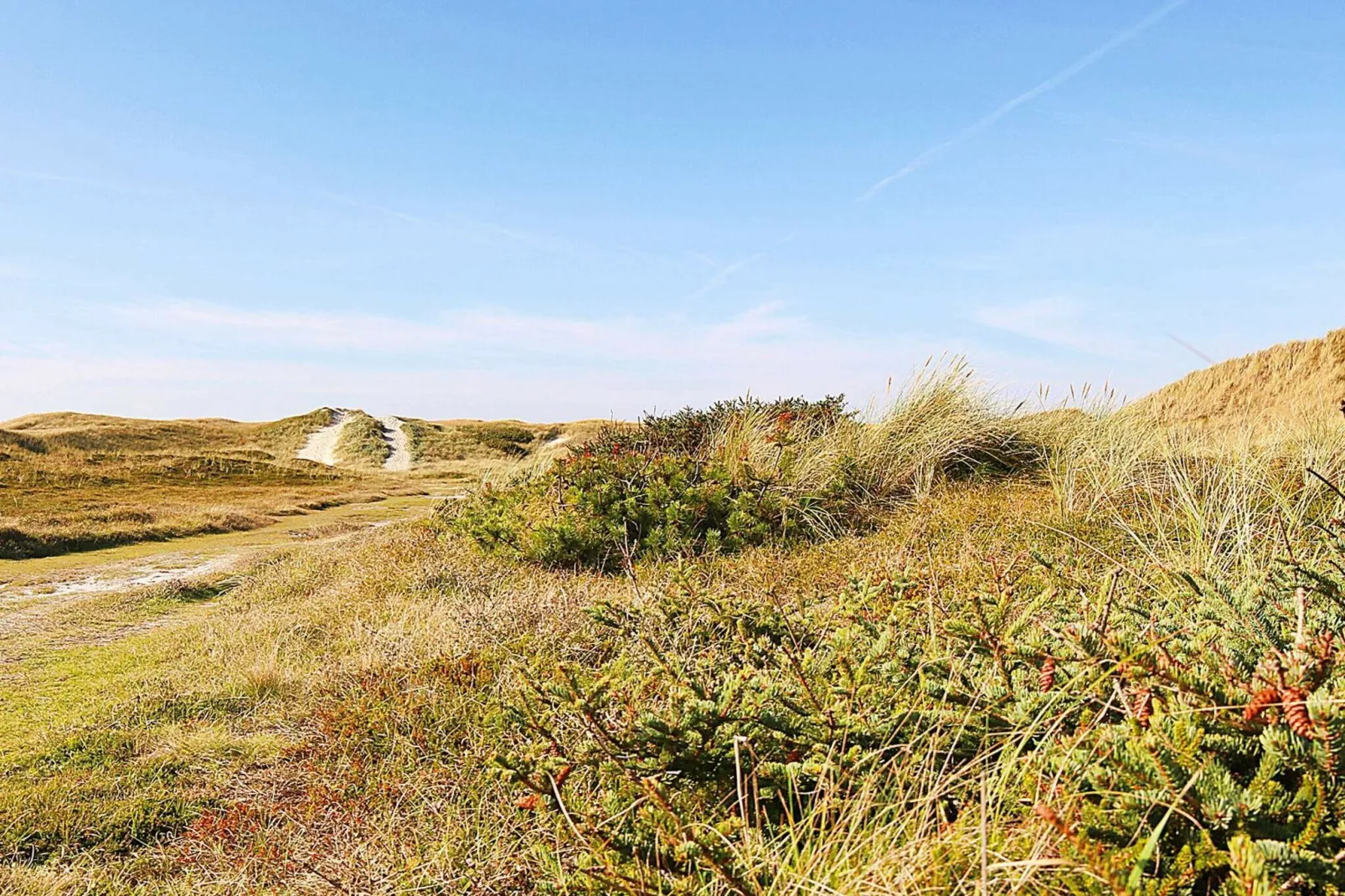 Maison de vacances pour 5 a Ringkøbing-By Traum-Non tagué