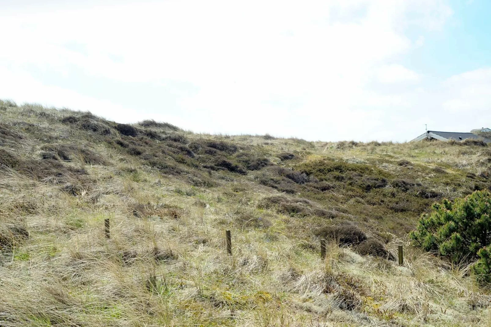 Maison de vacances pour 5 a Ringkøbing-By Traum-Vue