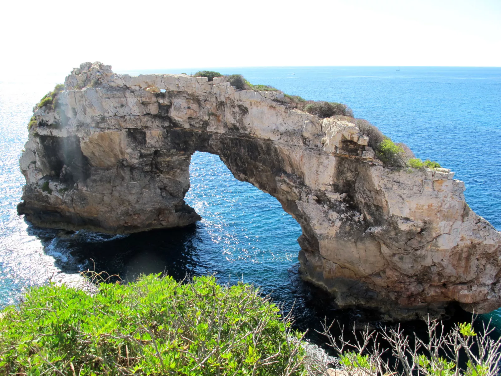 Cordella-Area