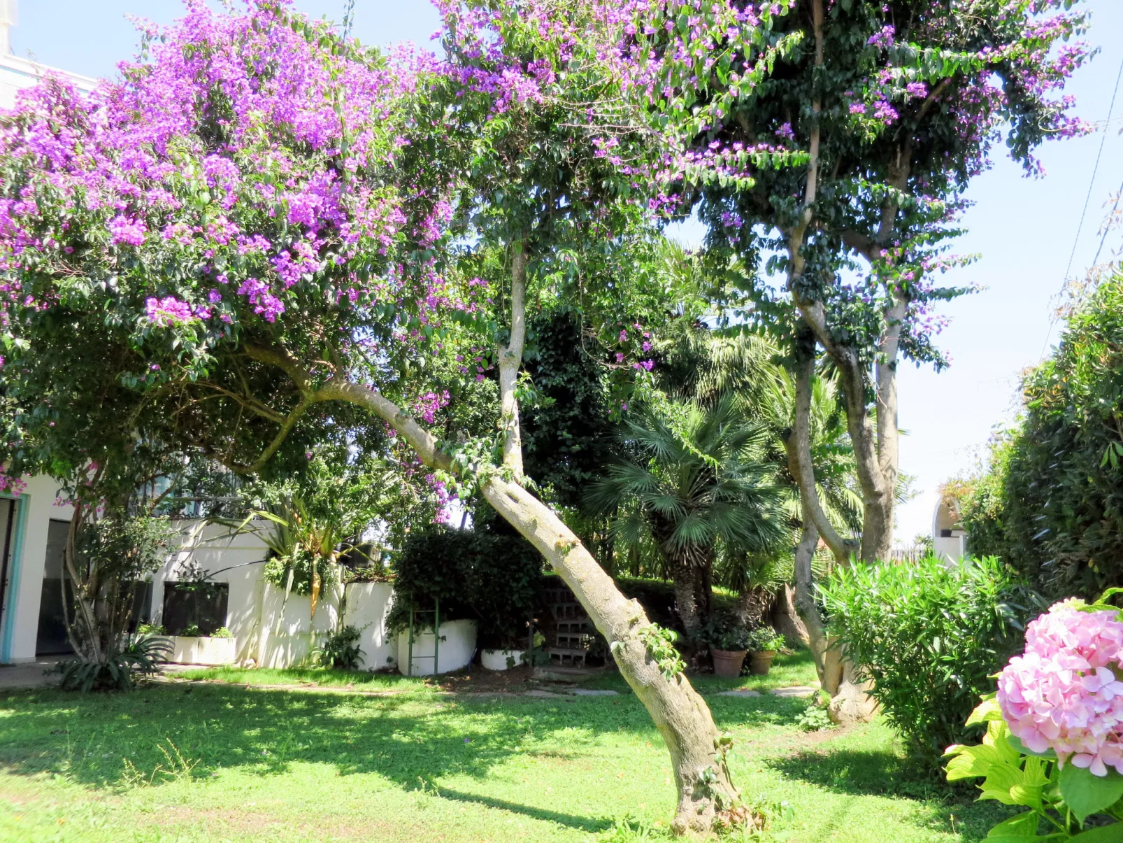 Casa Le Terrazze-Outside