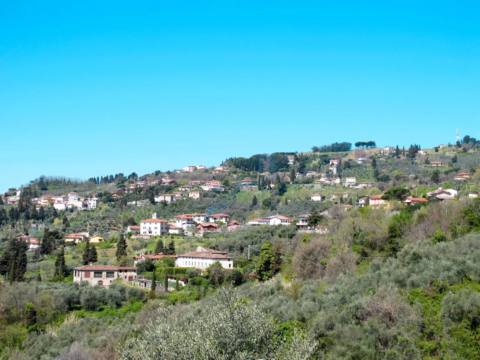 Capo Corso-Area