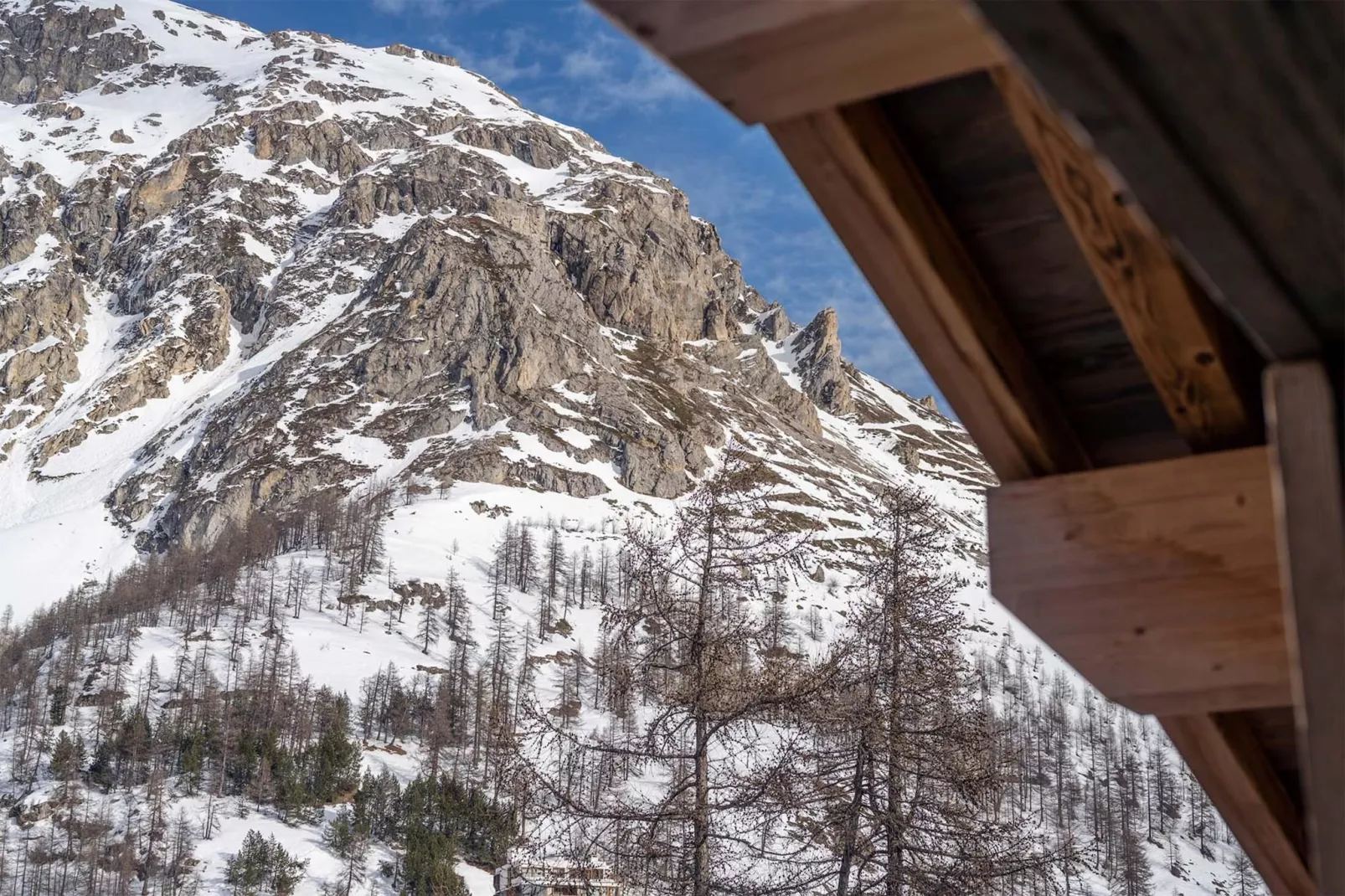 Chalet Arda-View winter