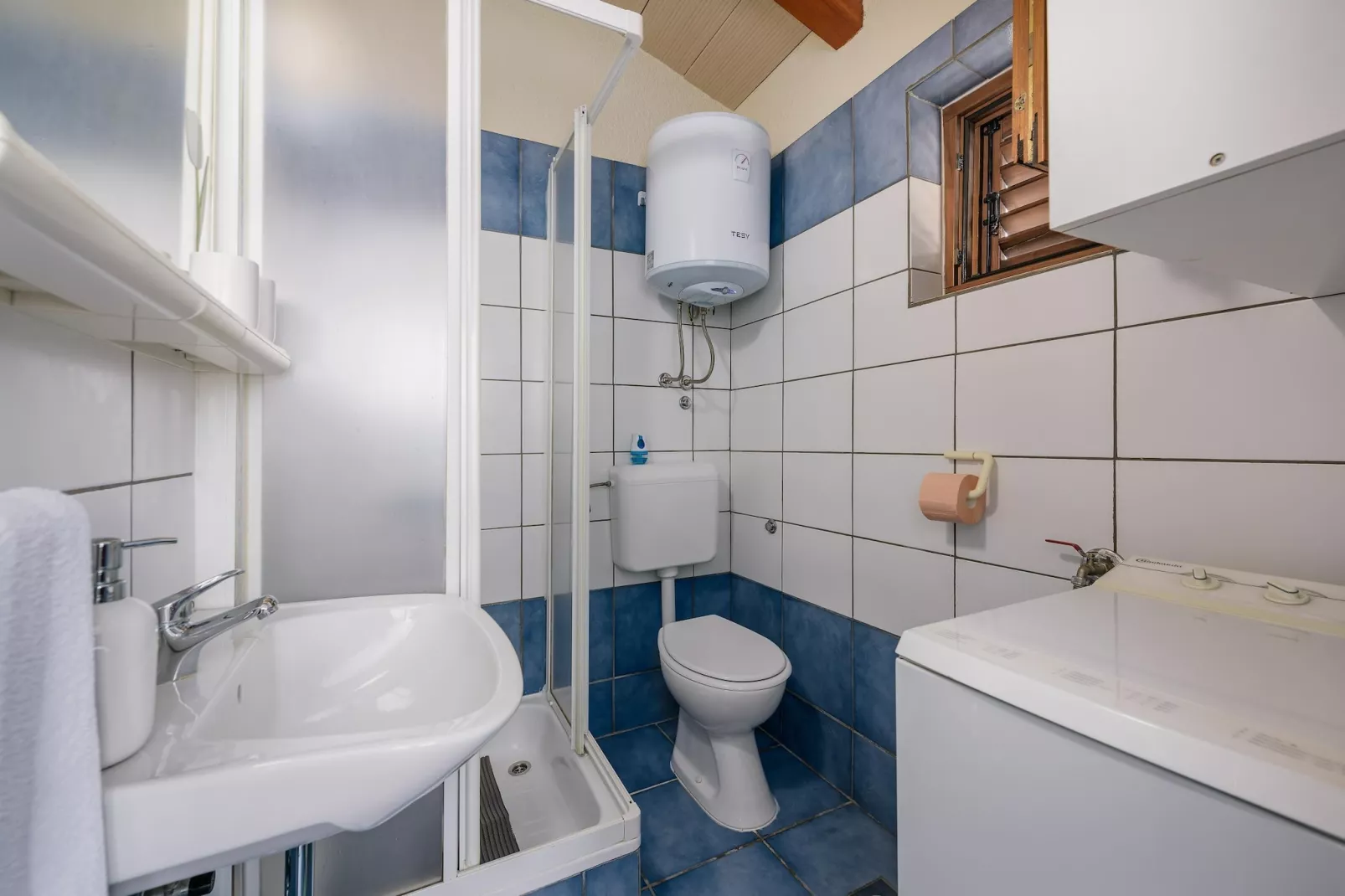 Apartment Milena- Visnjan with pool-Bathroom
