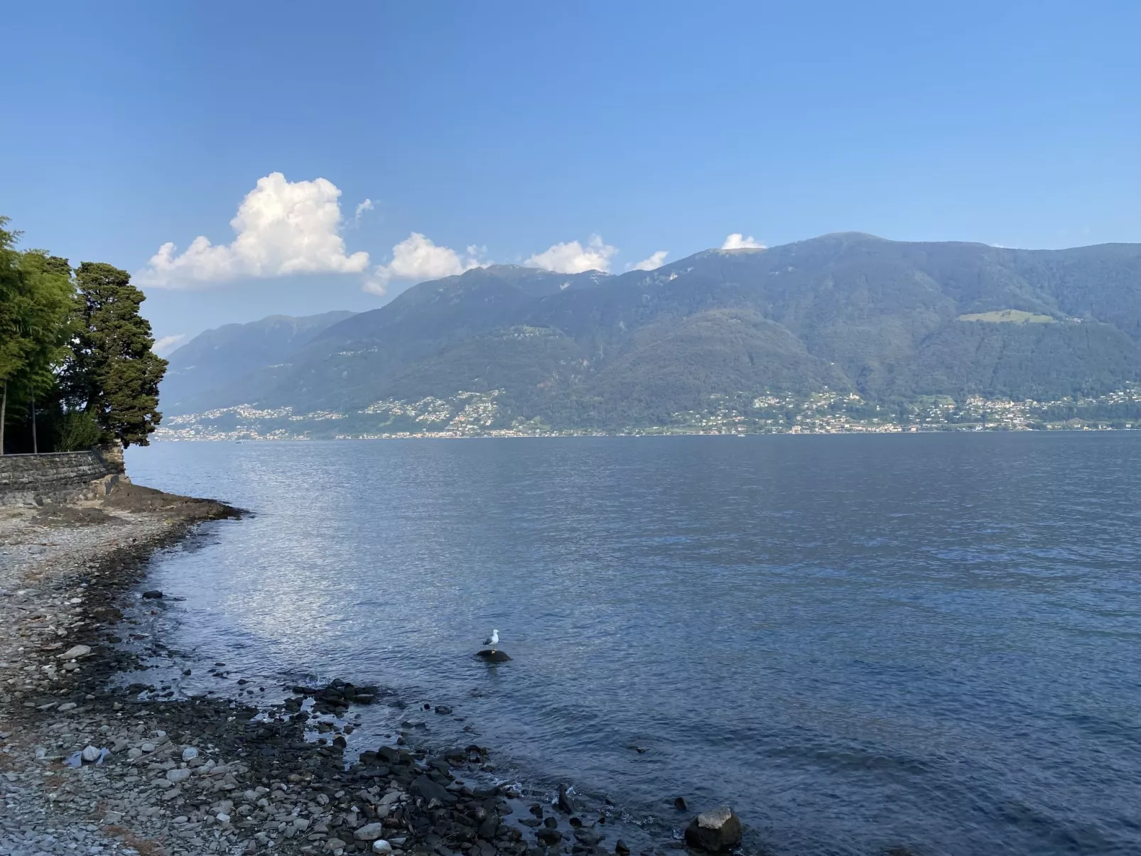 Egner- Apt.Panorama-Area