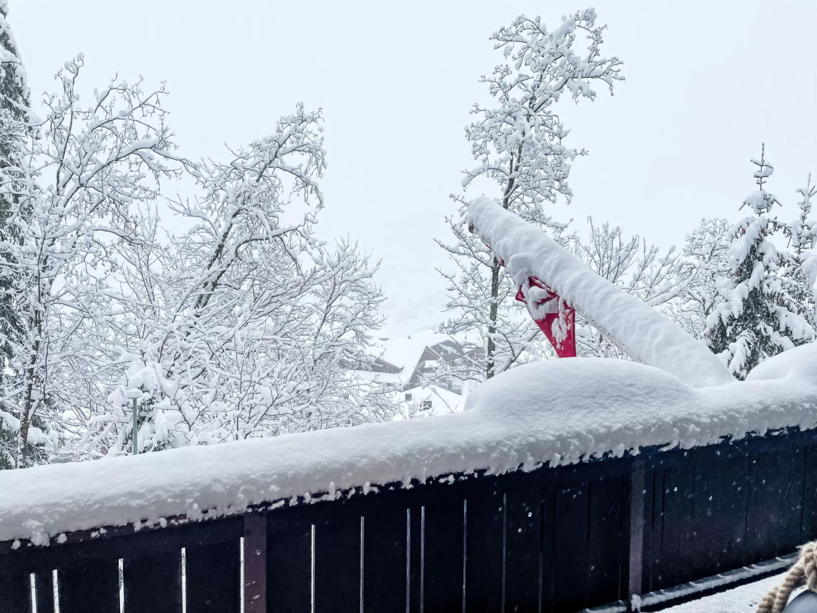 Chalet Tannengüetli-Outside