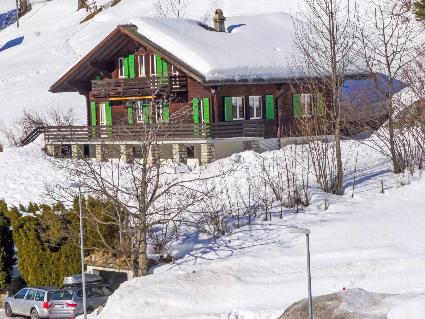 Chalet Pitschun-Outside