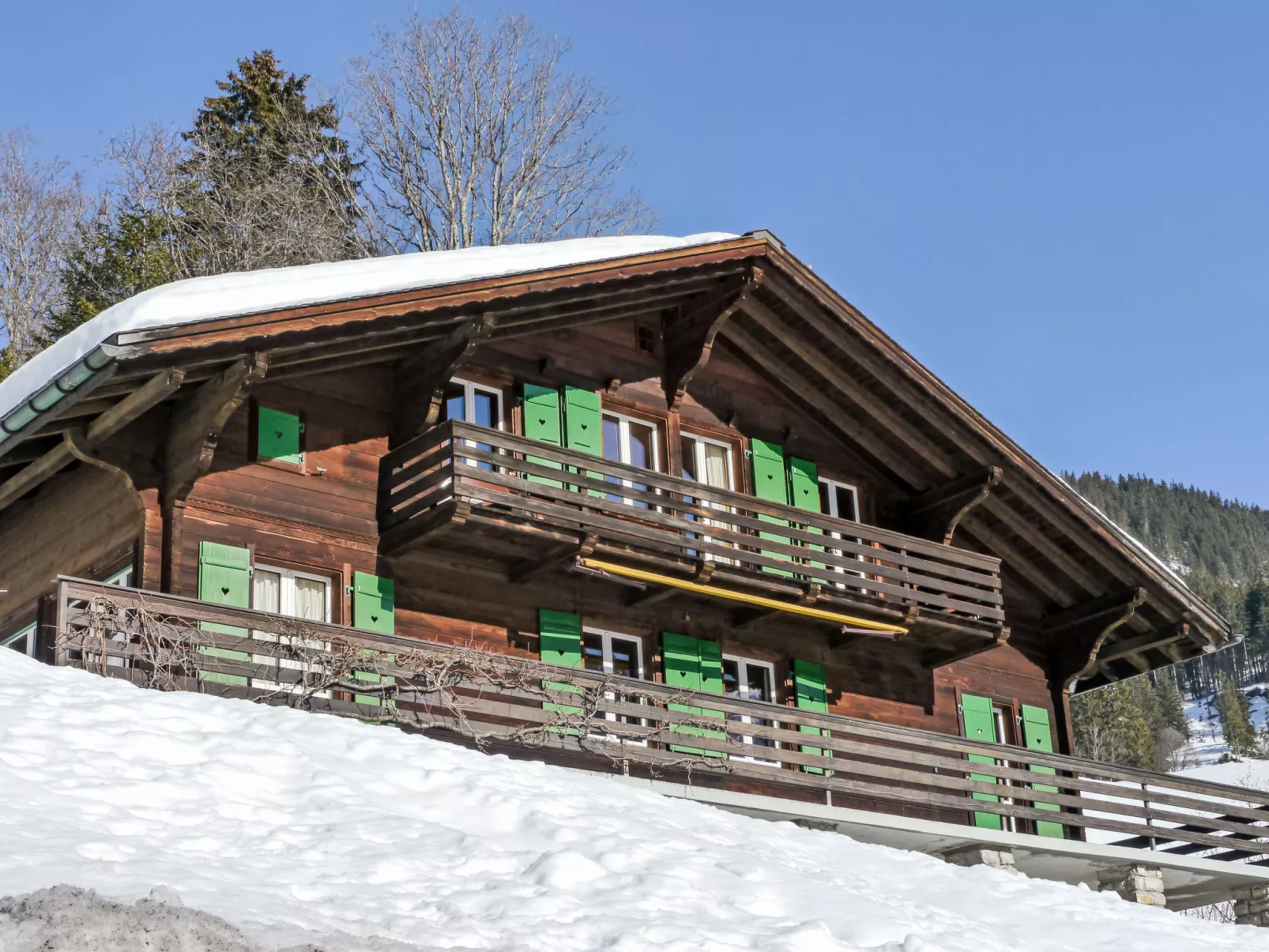 Chalet Pitschun-Outside