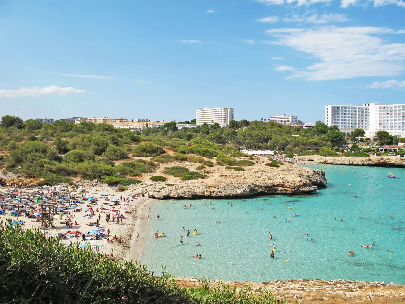 Peña Rubia-Area