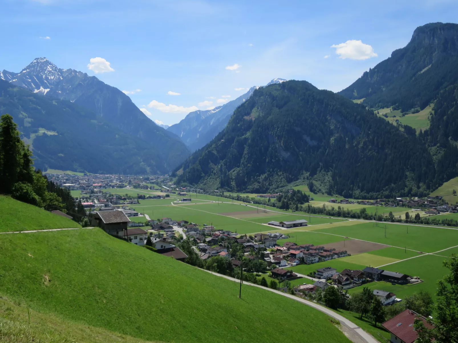 Wandegg-Area