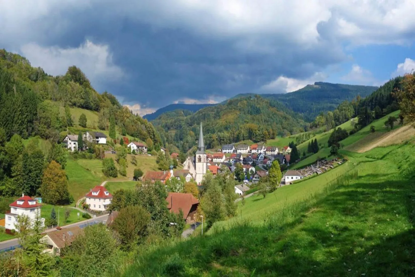Olga-Areas summer 5km