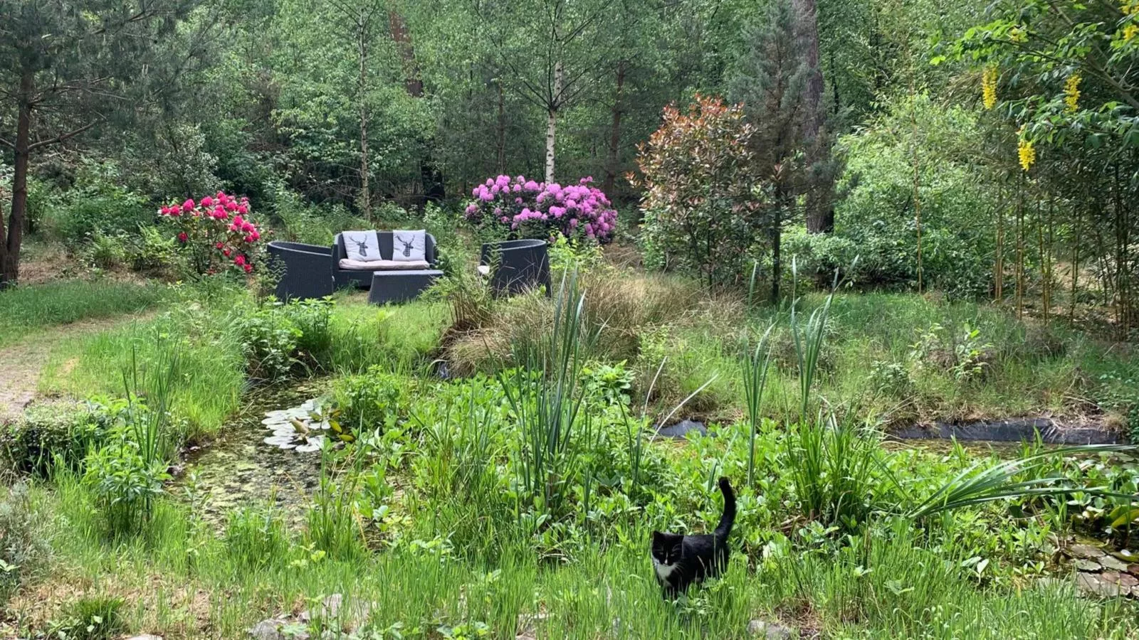 Mc Ghil-Gardens summer
