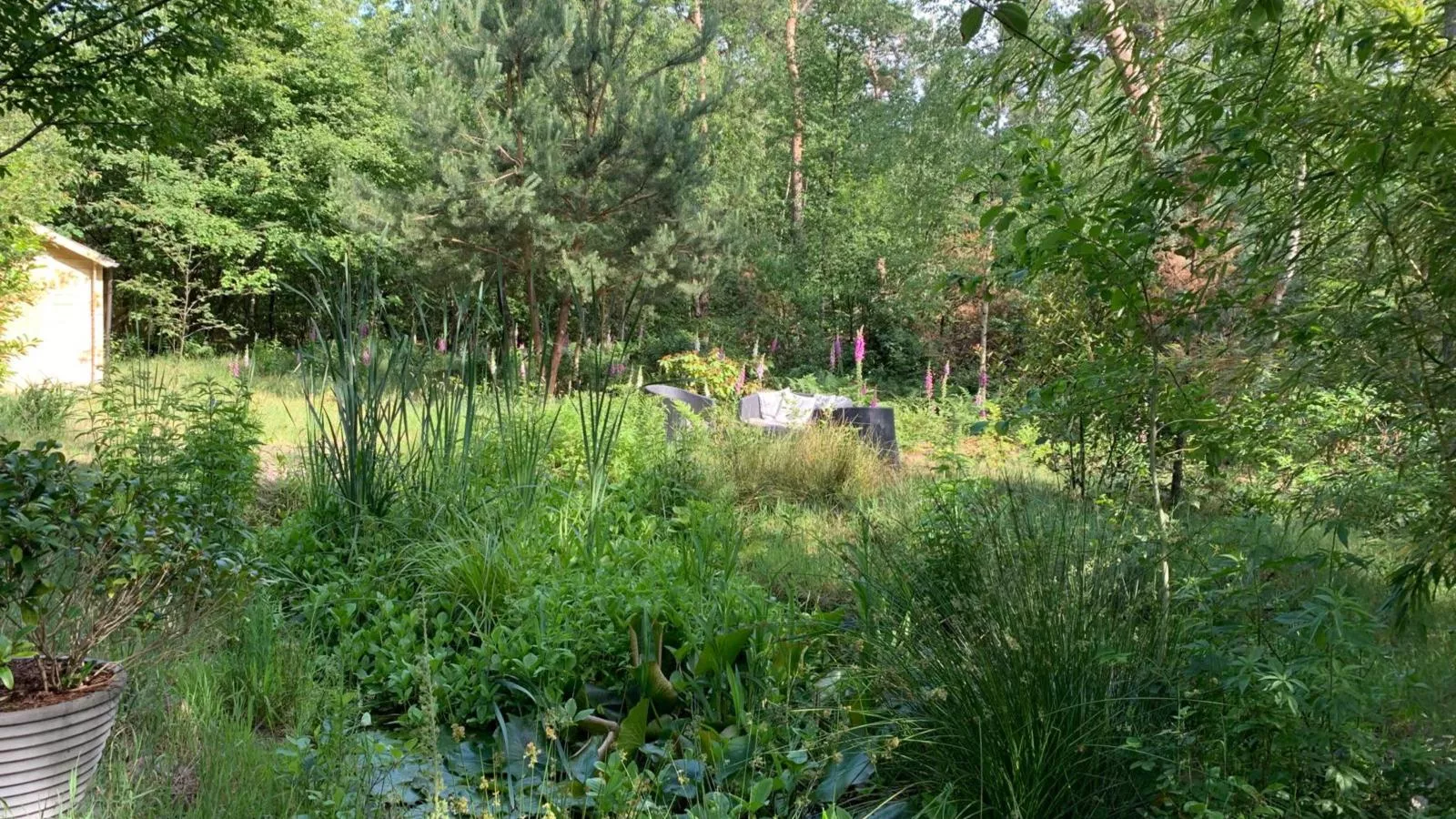 Mc Ghil-Gardens summer