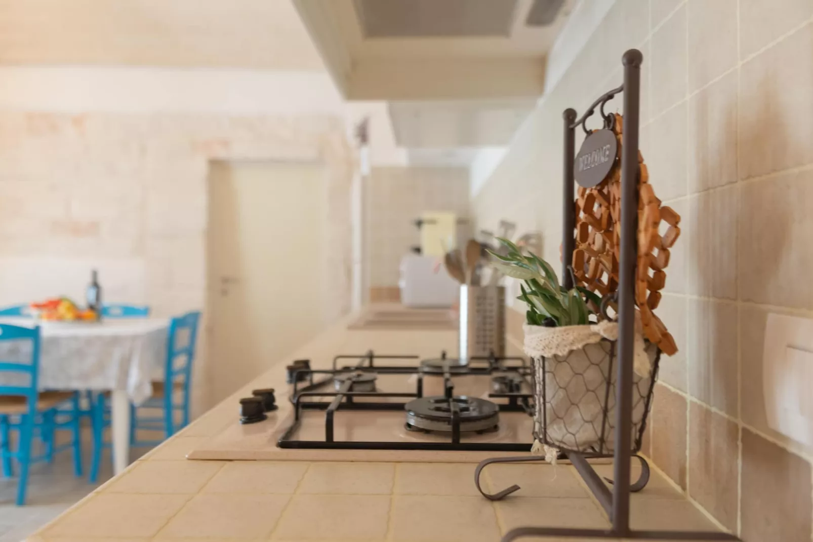 Villa Le Nacchere in Cisternino-Kitchen