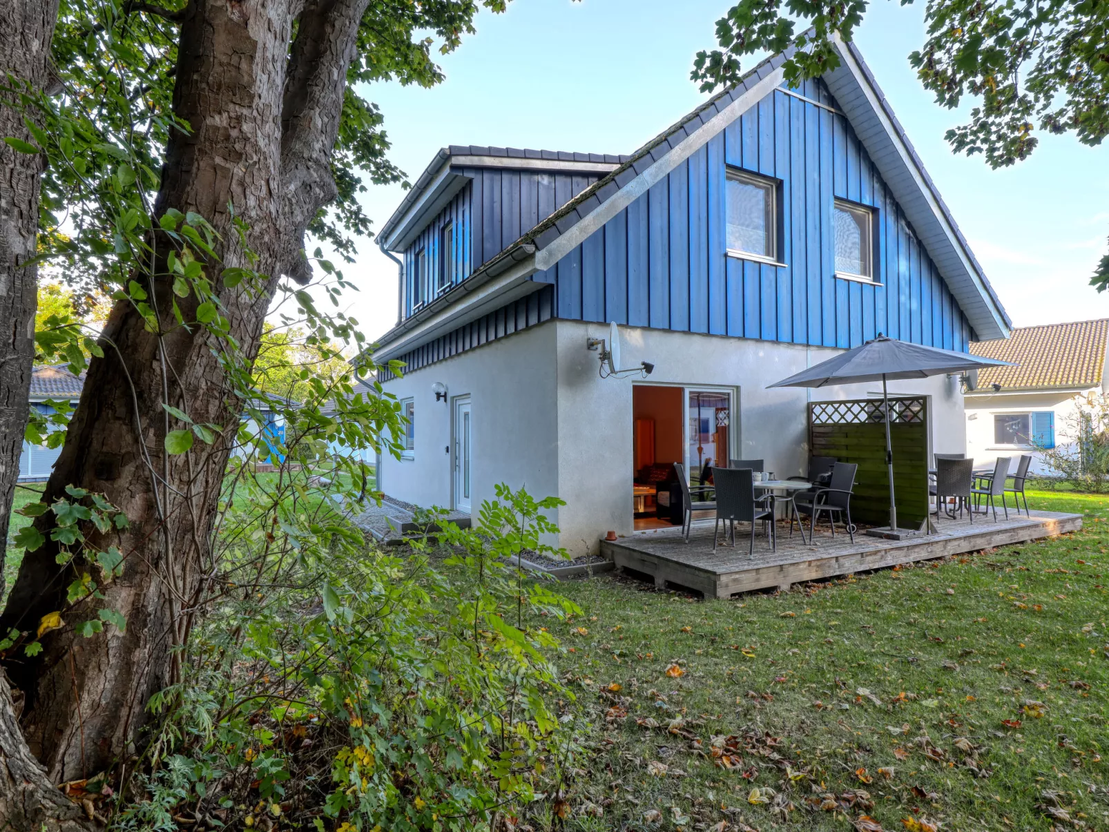 Möwennest