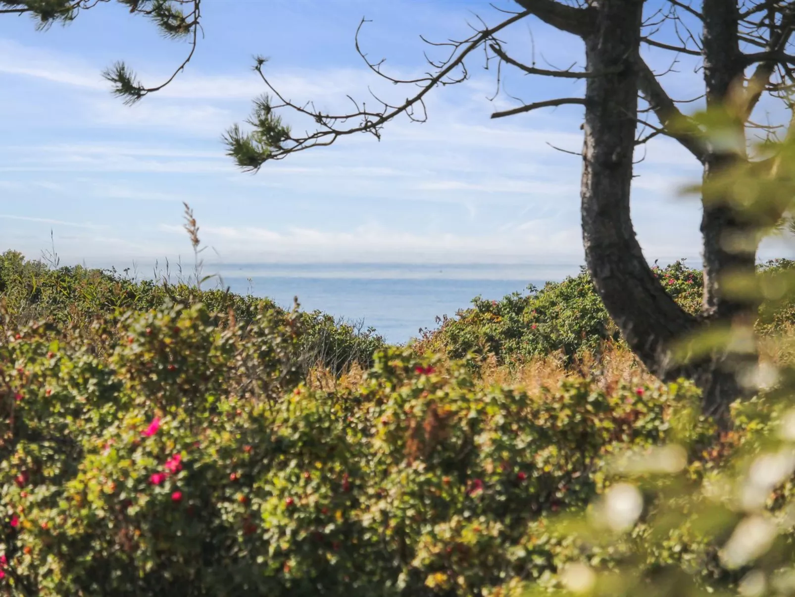 "Hening" - 50m from the sea-Dedans