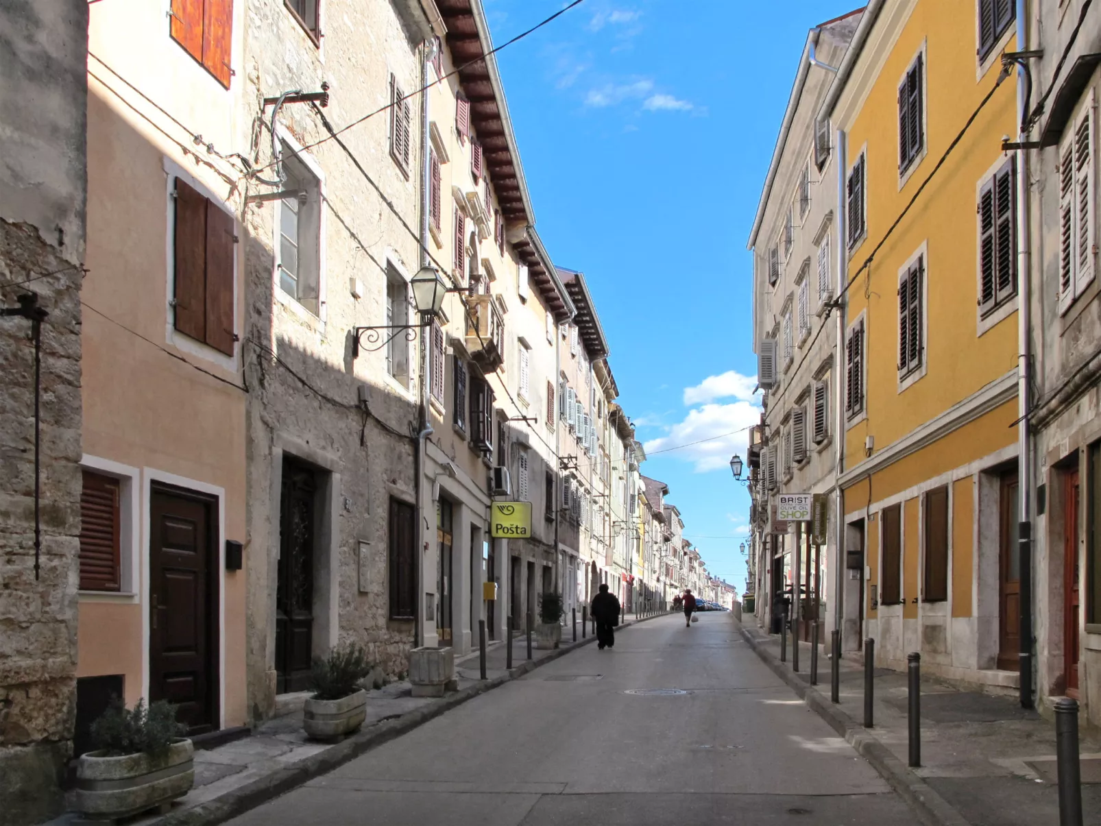Old Olive VI-Area