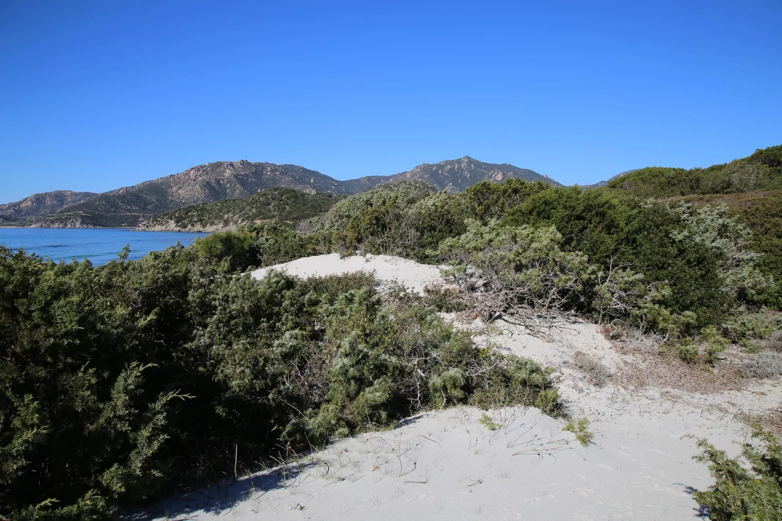 Monolocale per 2-Areas summer 1km