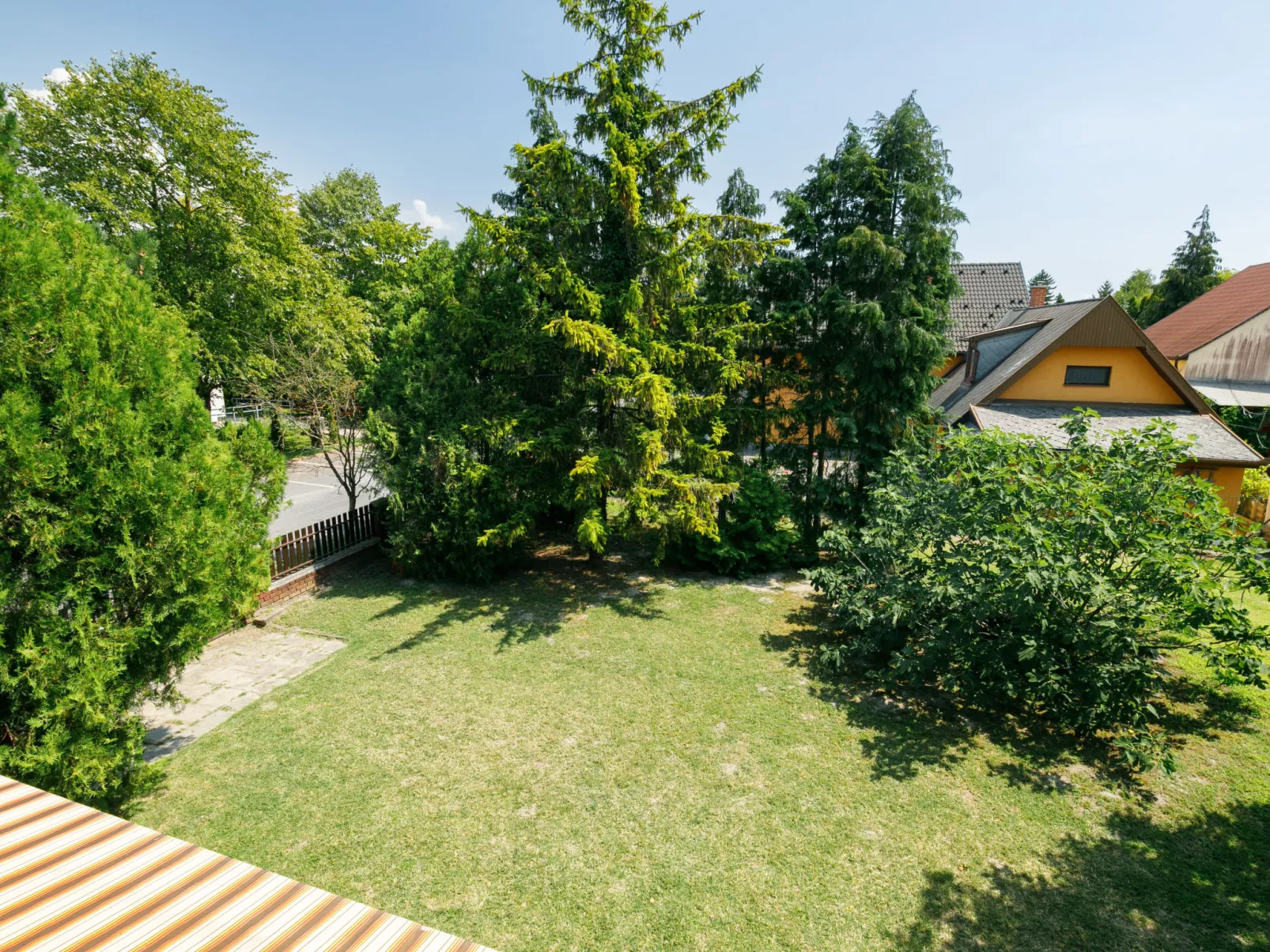 Picea-Outside