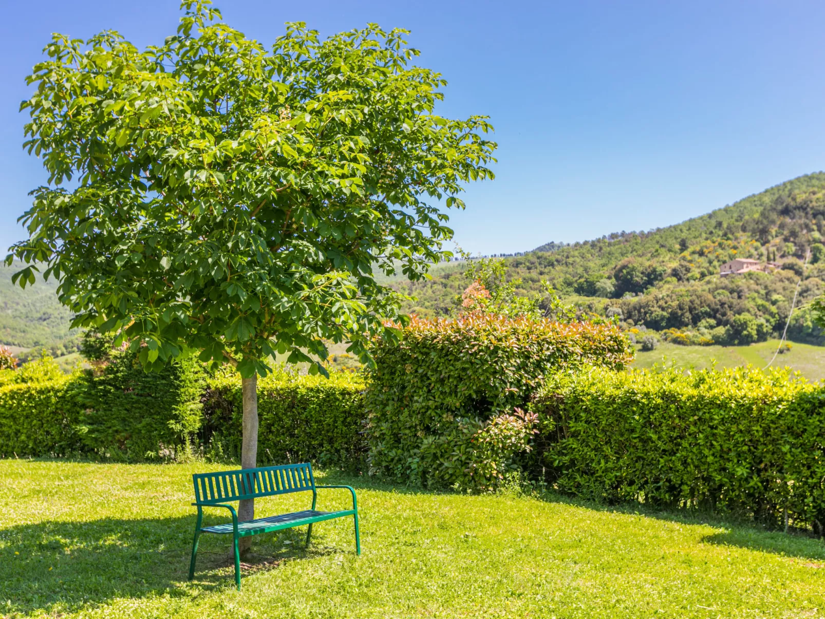 Podere Cafaggiolo-Outside