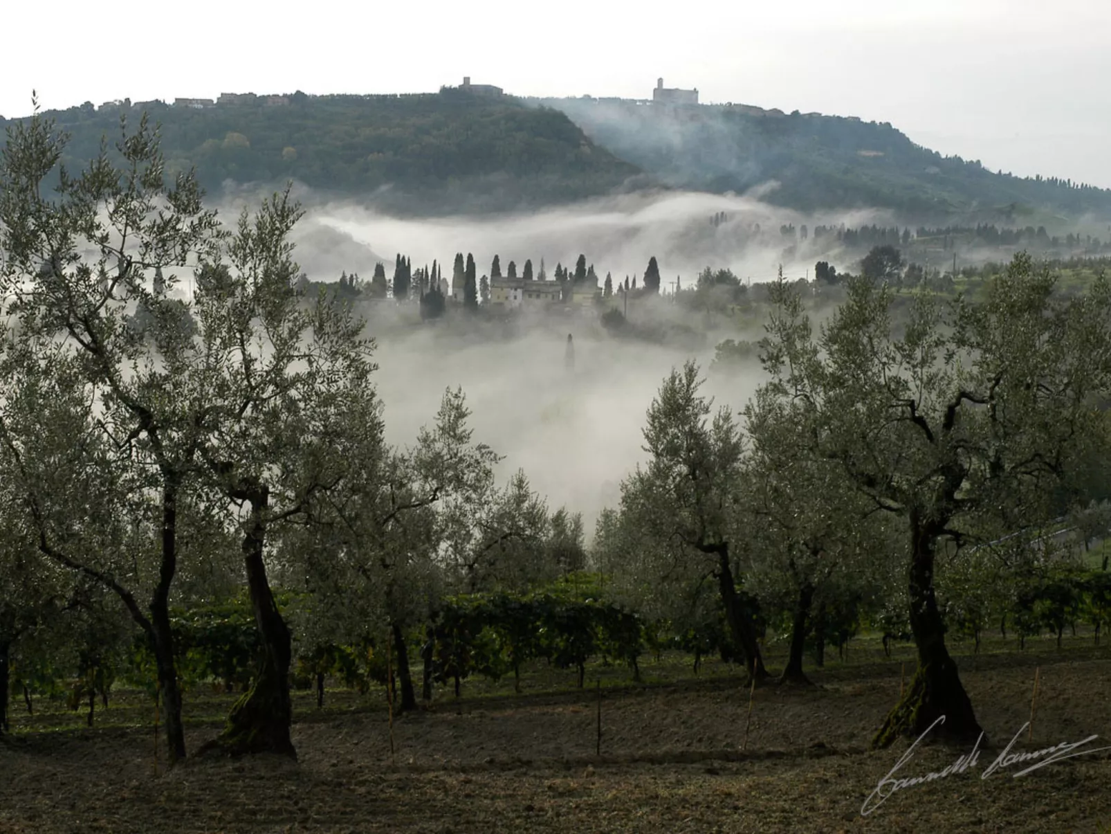Podere Cafaggiolo-Area