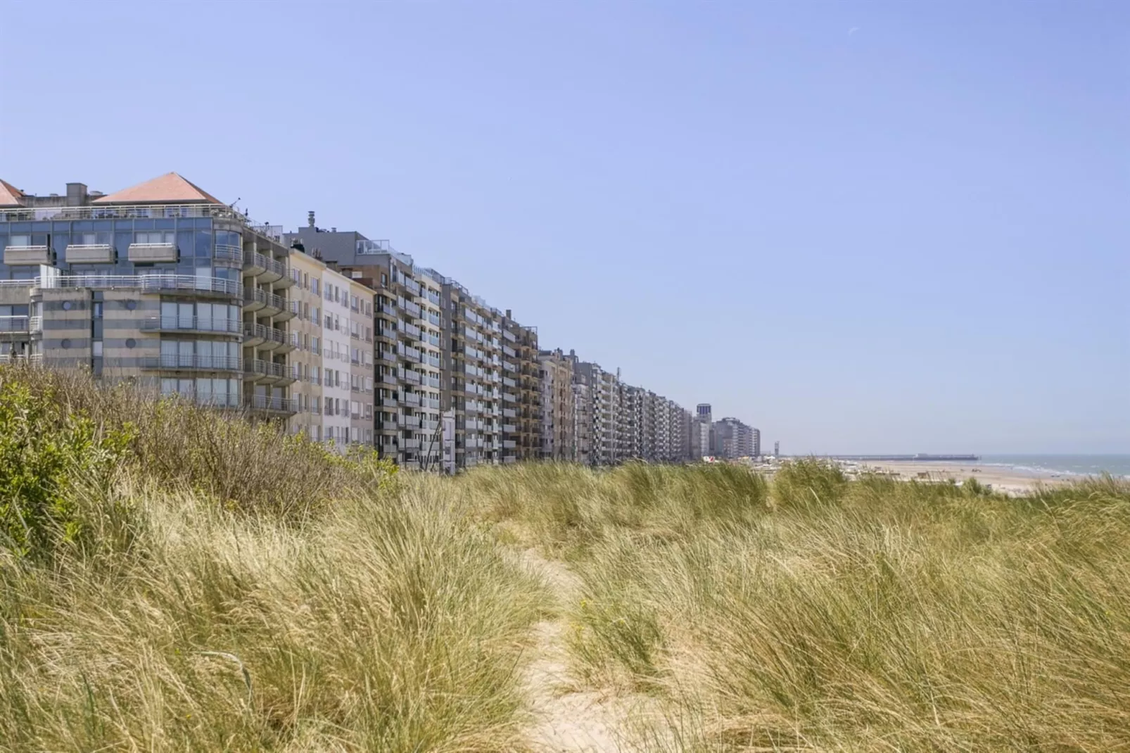 SEA SWALLOW - 1ST-Areas summer 1km