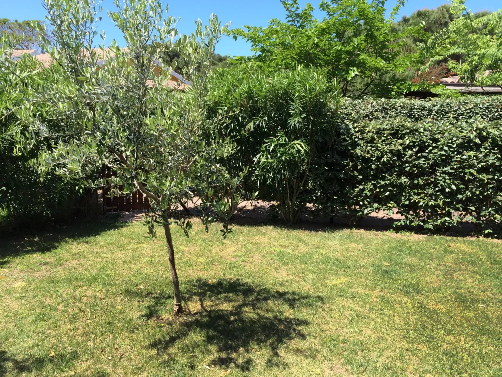 San Pietro Green-Dehors