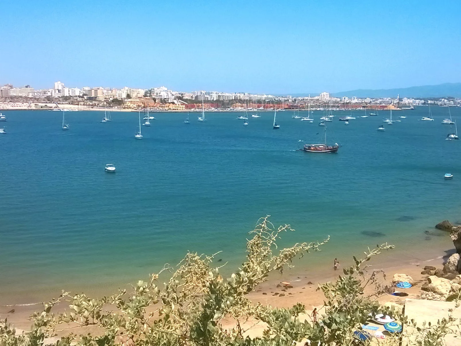 Lux Rocha-Area