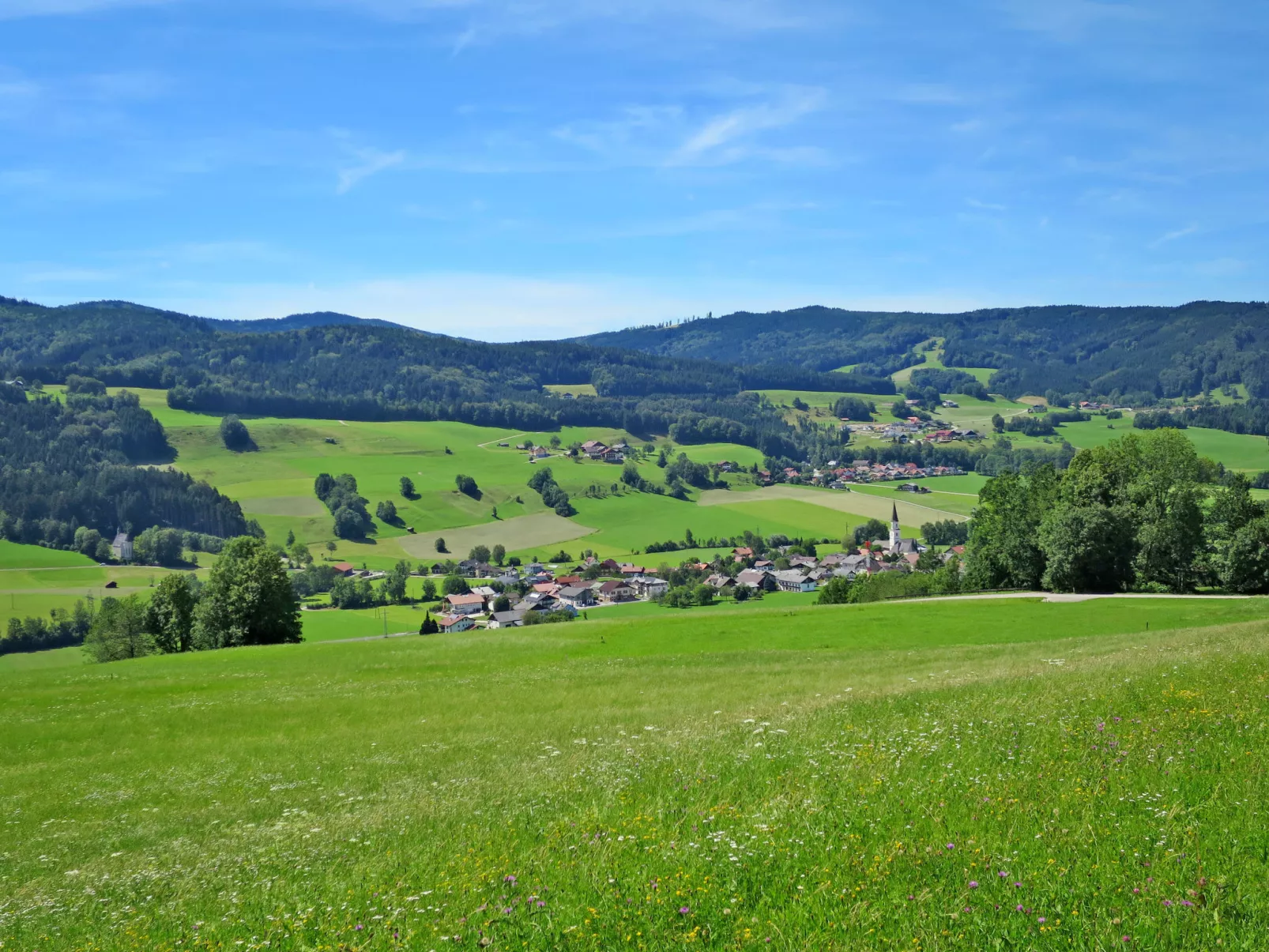 Lärche-Area