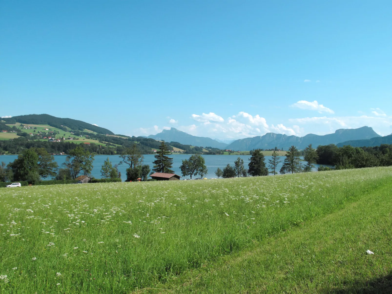 Lärche-Area