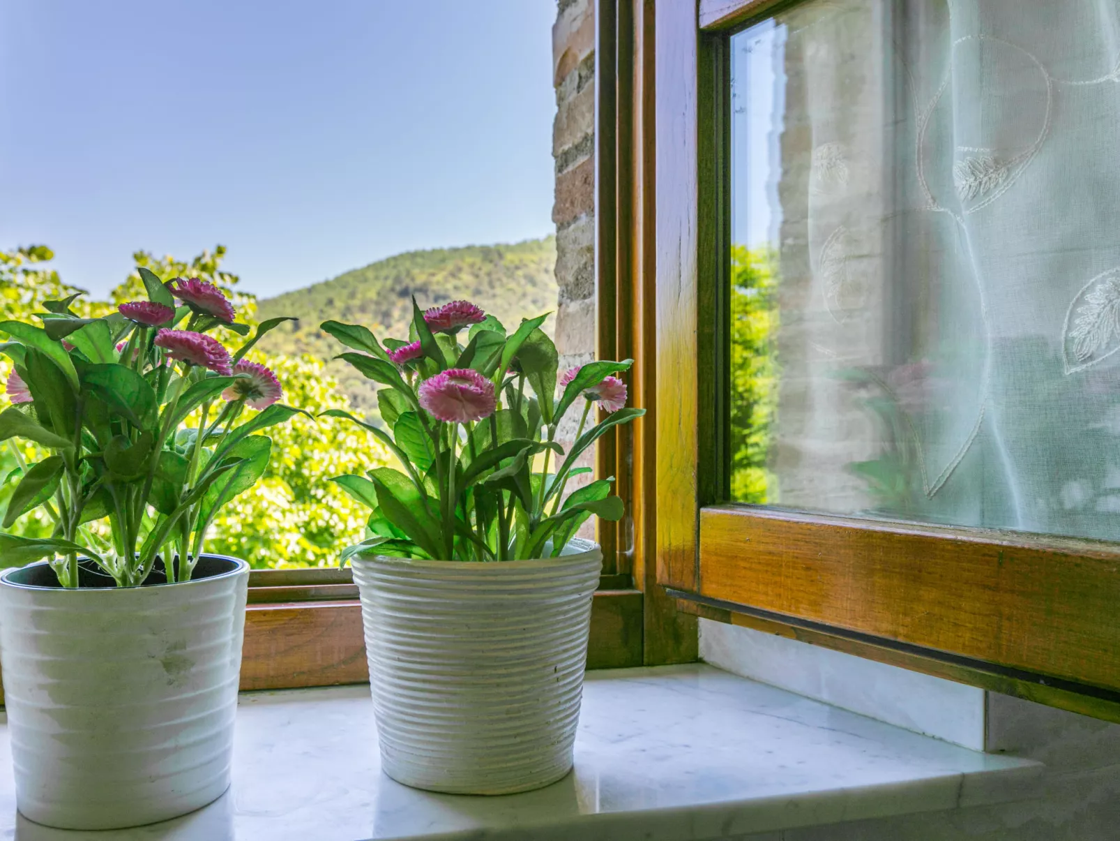 Podere Cafaggiolo-Dedans