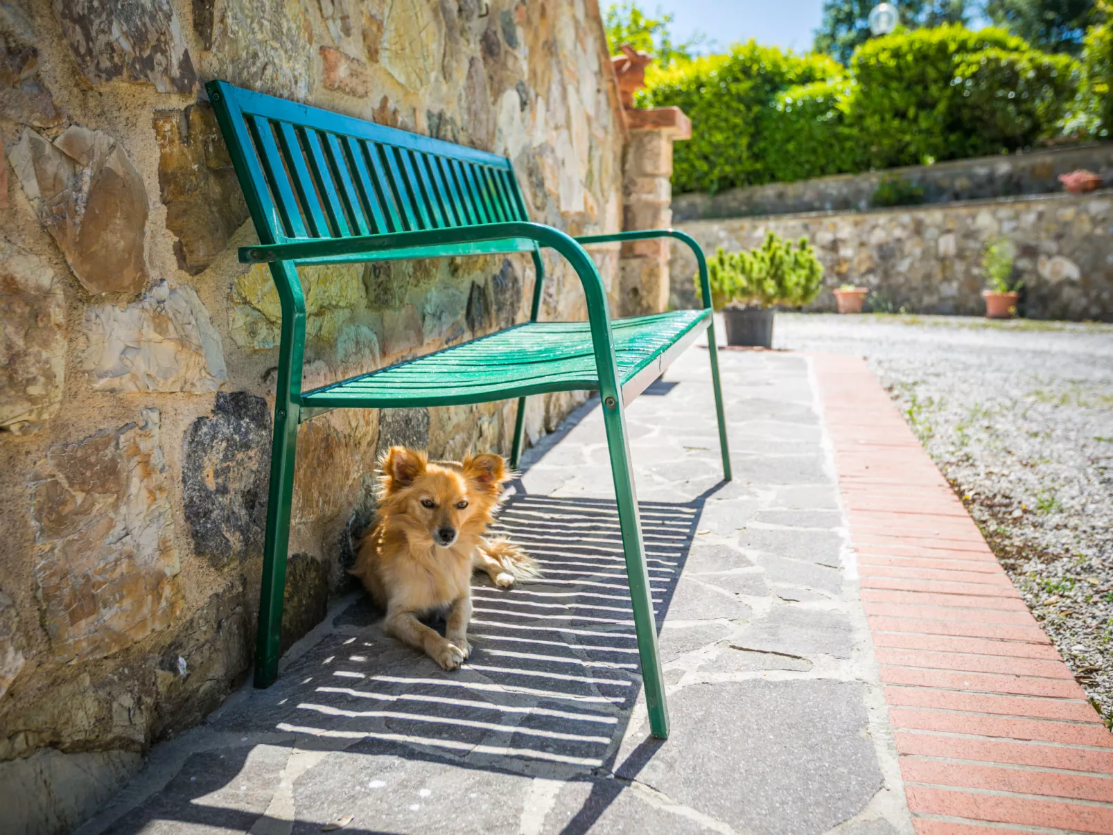 Podere Cafaggiolo-Dehors