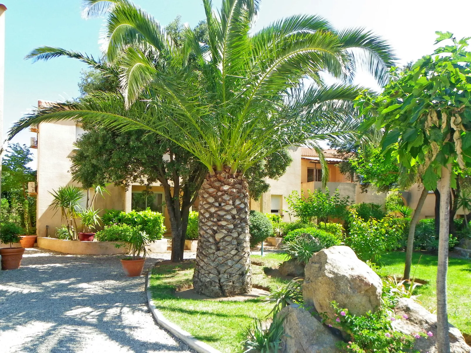 Club Benista T2-Outside