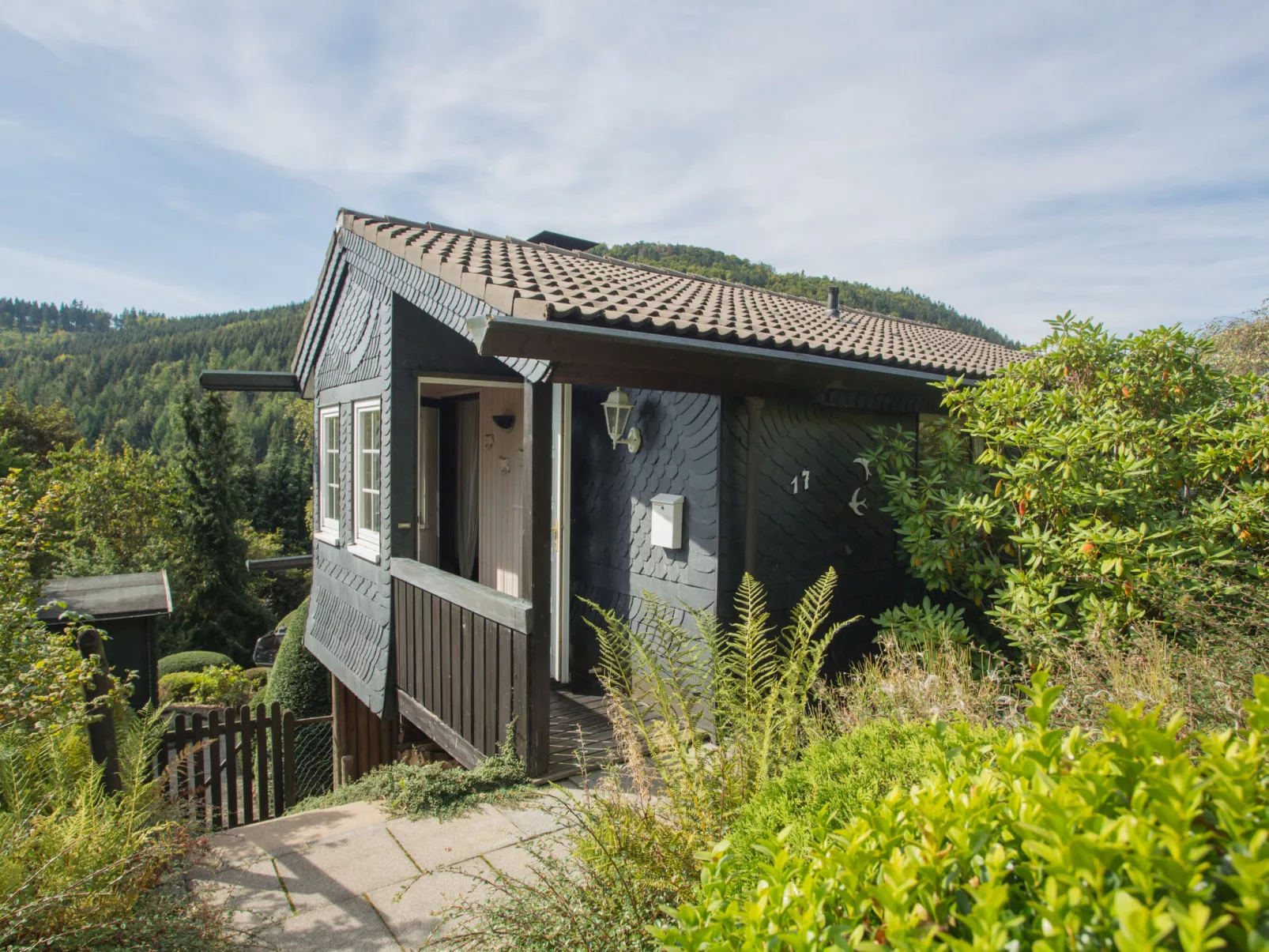 Waldblick-Outside
