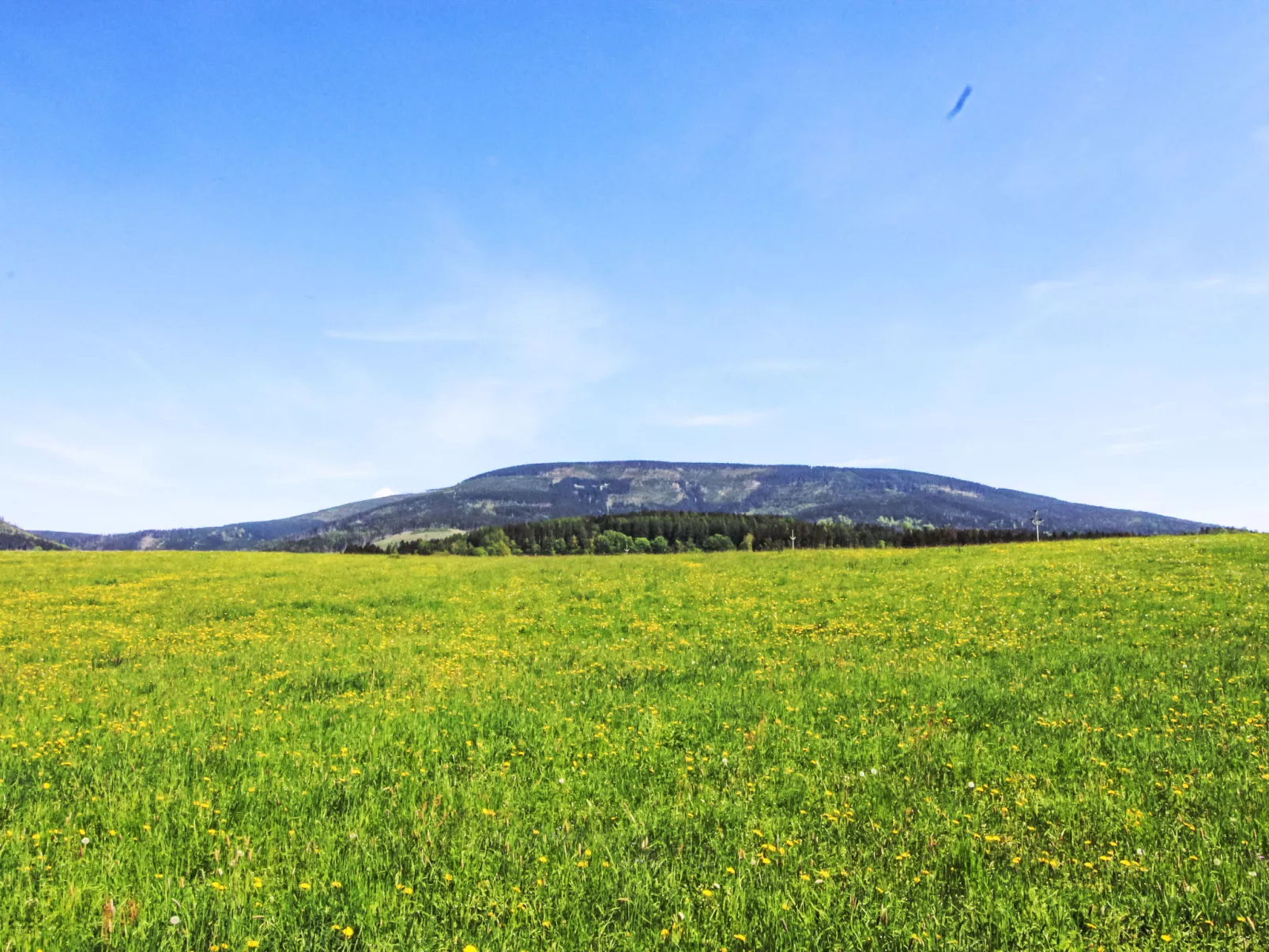 Černý Důl-Area