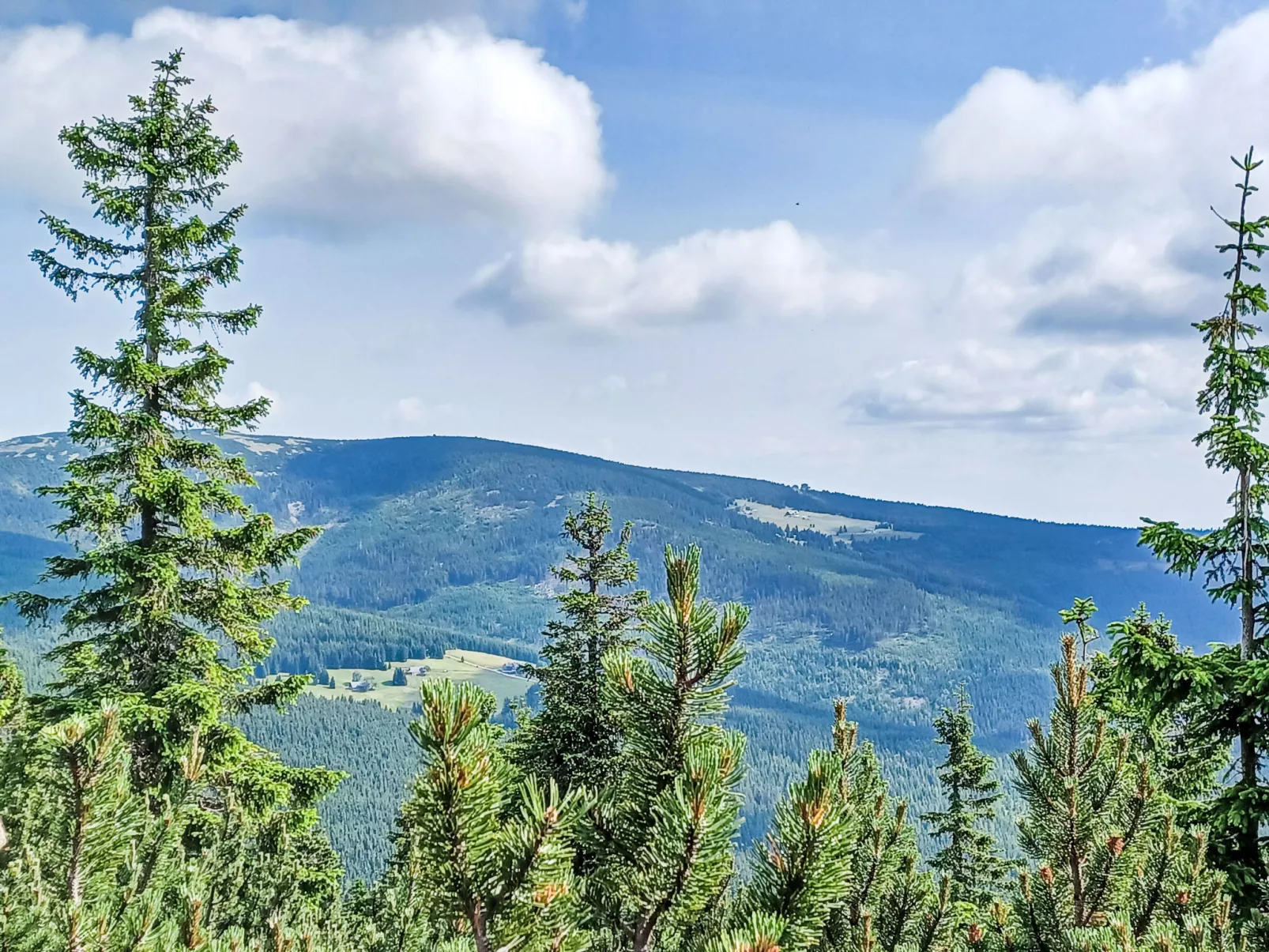Černý Důl-Area