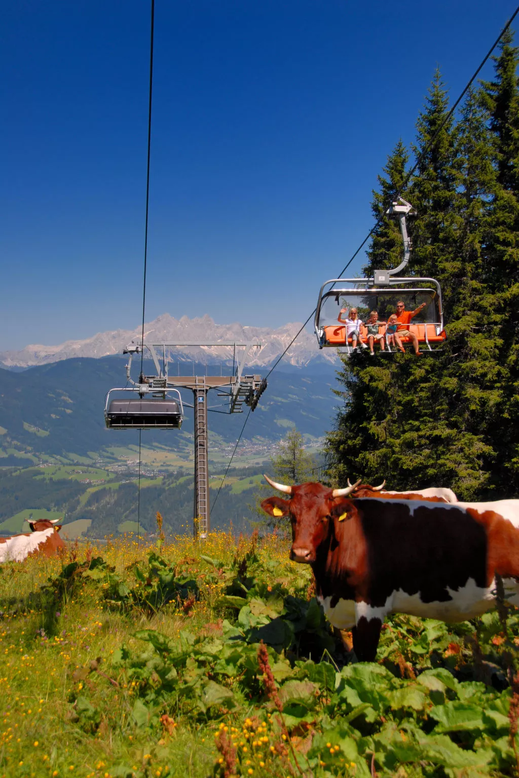 Dachstein-Area