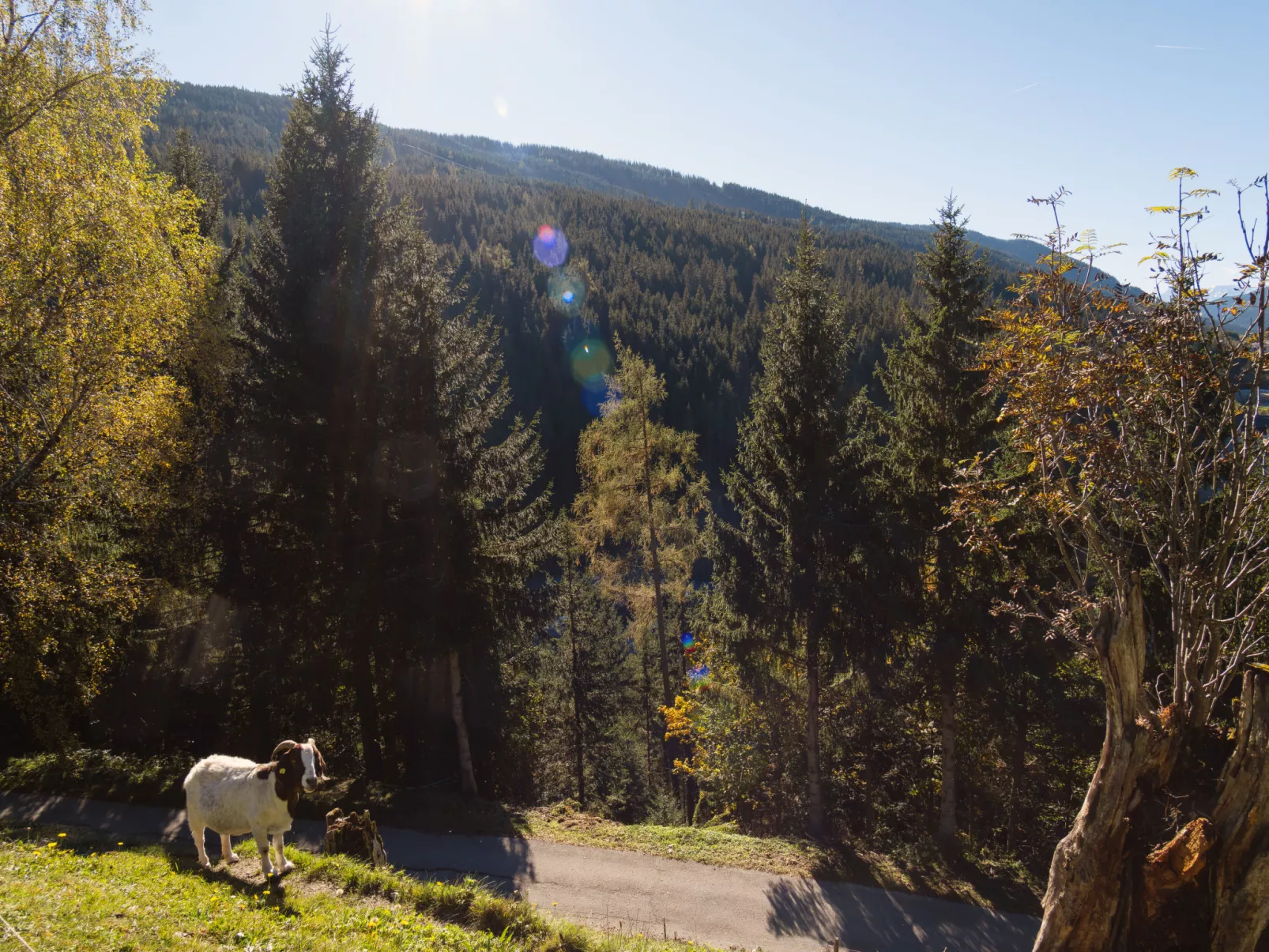 Dachstein-Outside