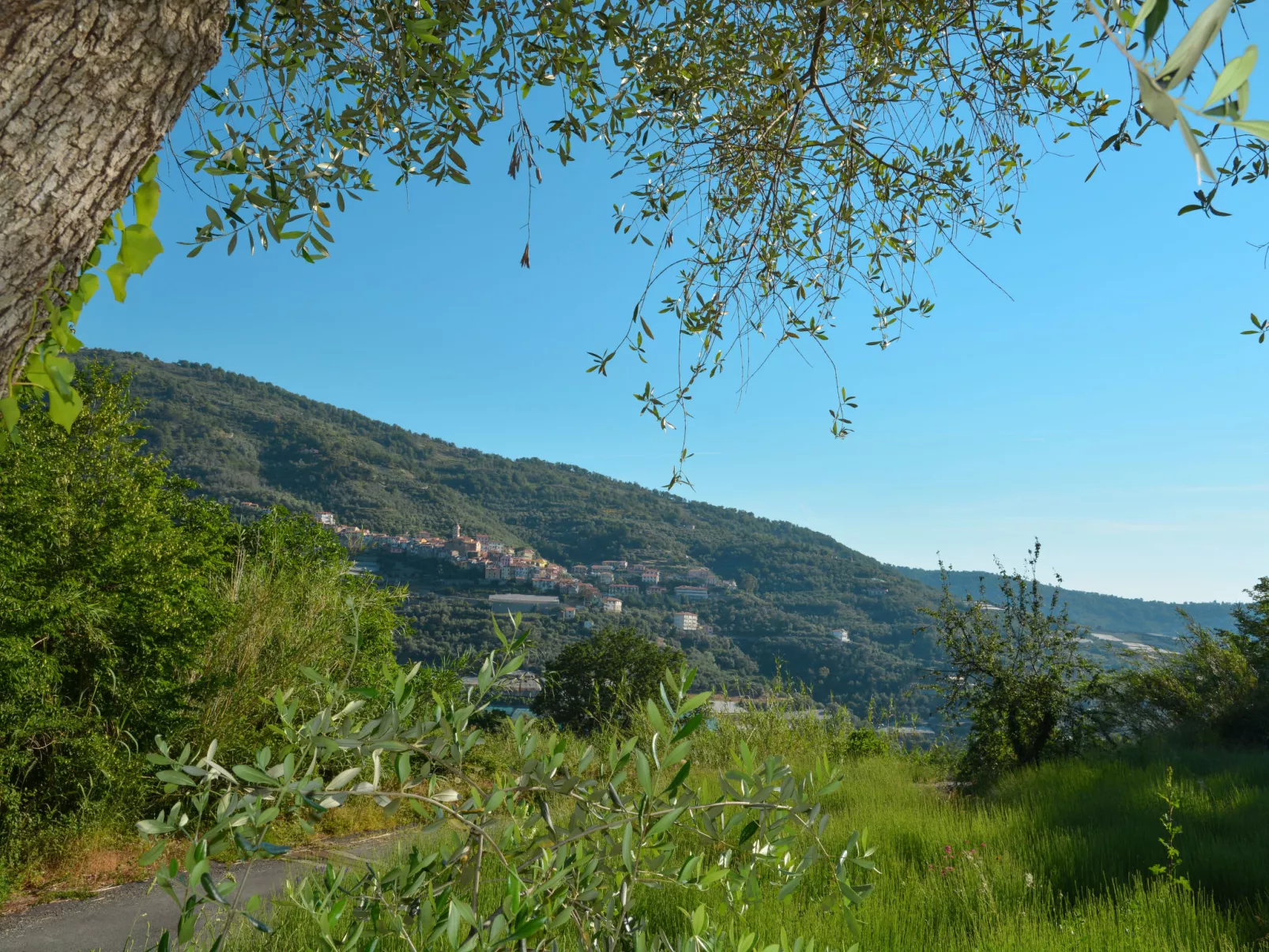 Mulino Rossi (PTB170)-Area