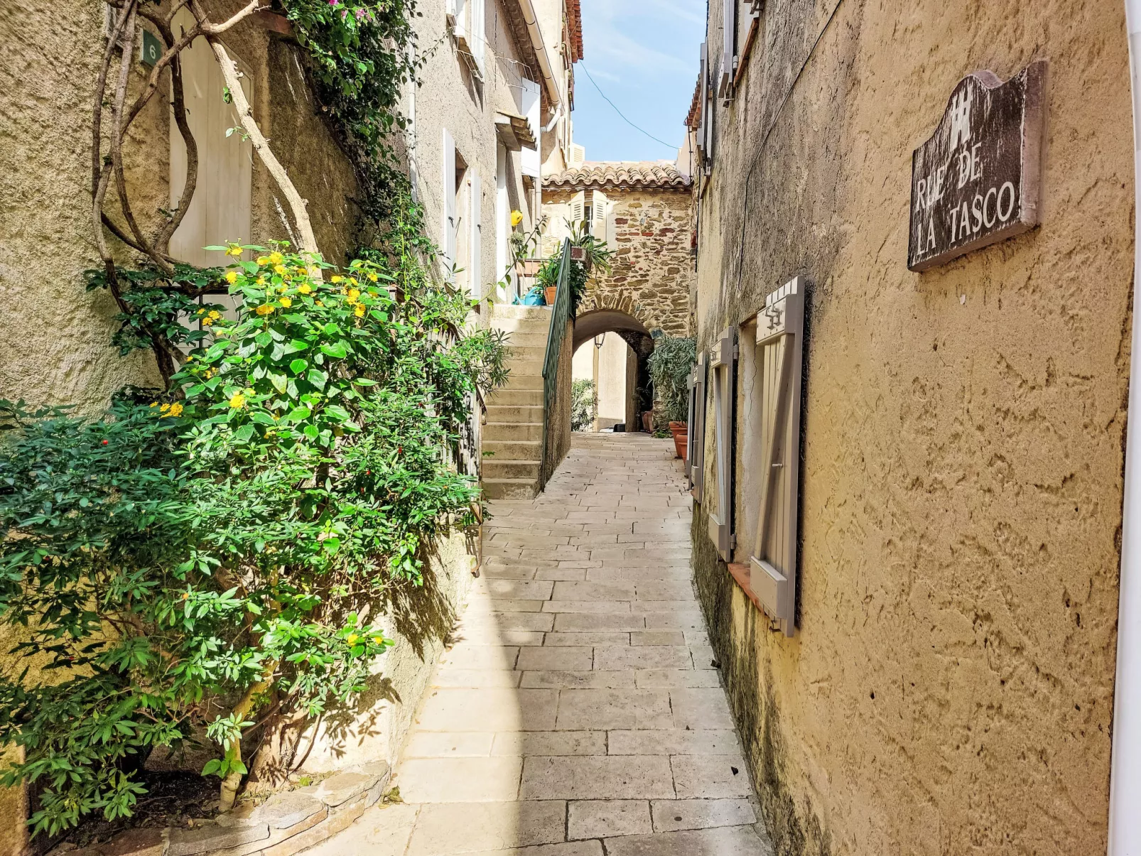 Les Mimosas-Area