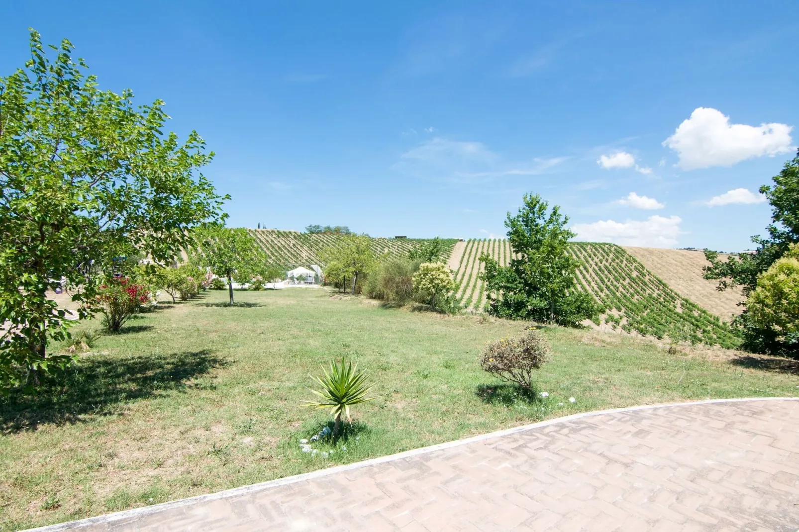 Apartment Anice-Areas summer 1km