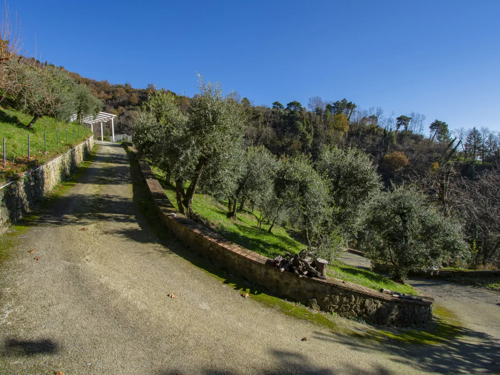 Il Paradiso-Outside