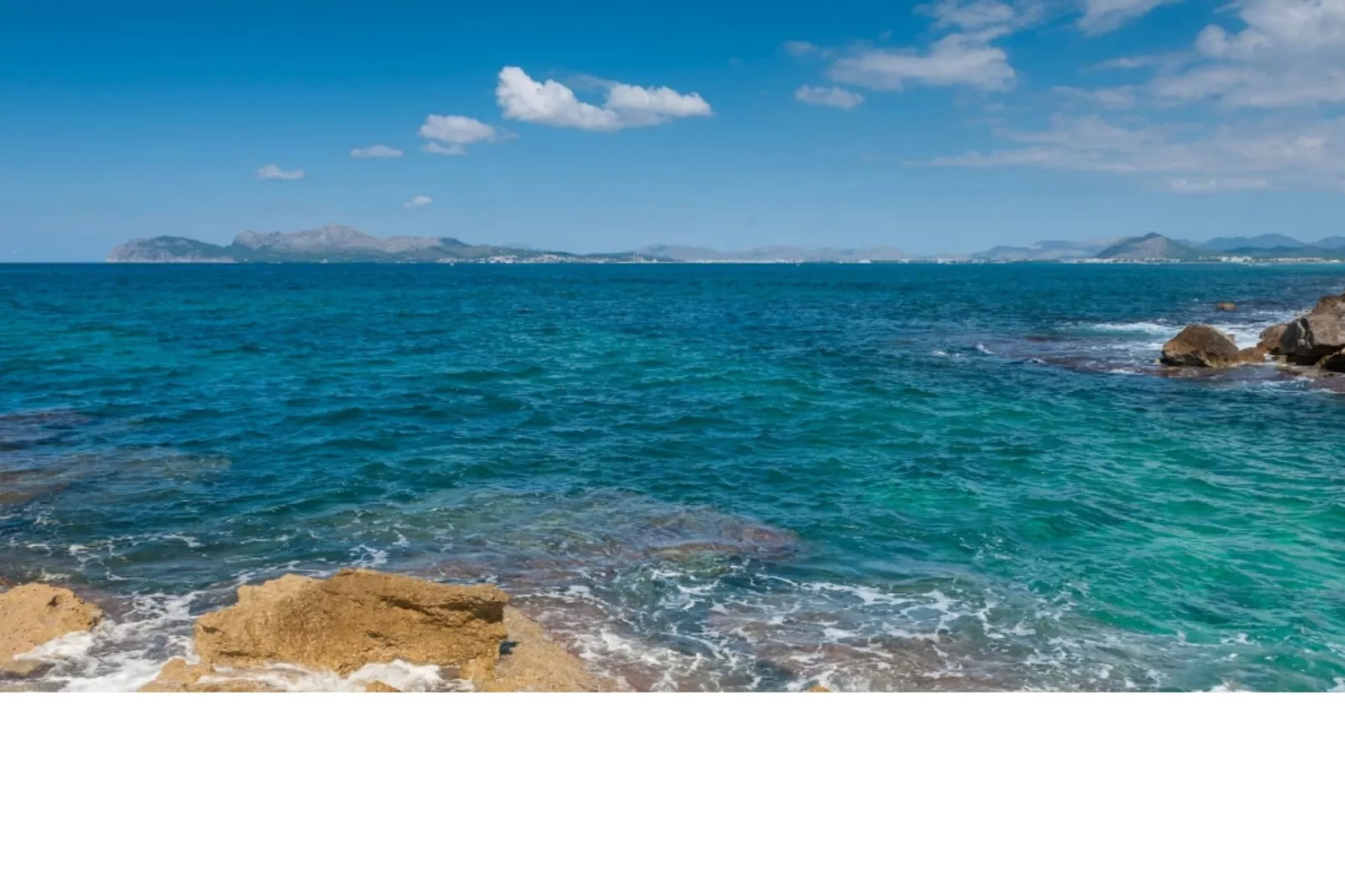 Anima-Areas summer 1km