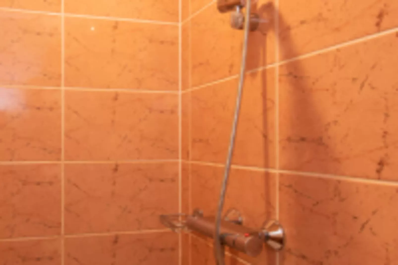 Marina Mercator-Bathroom