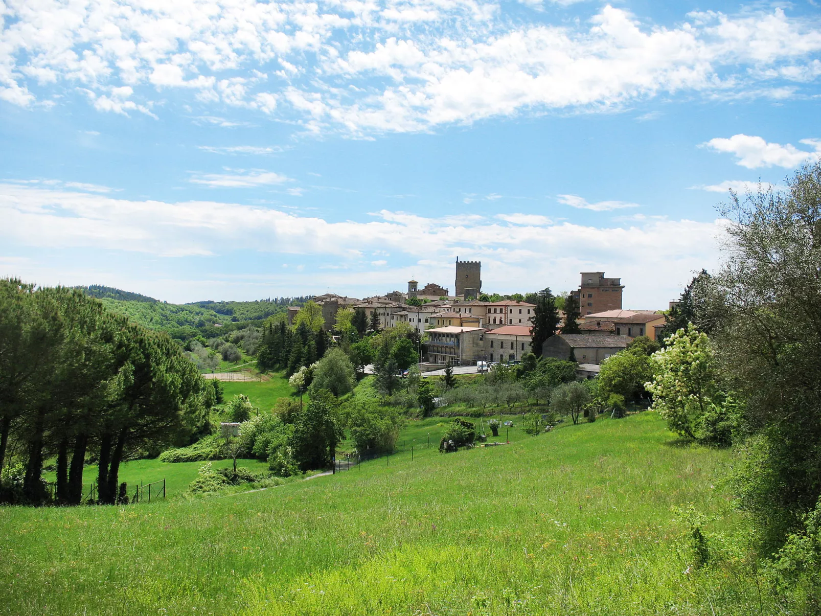 Cerretino Vigna-Area