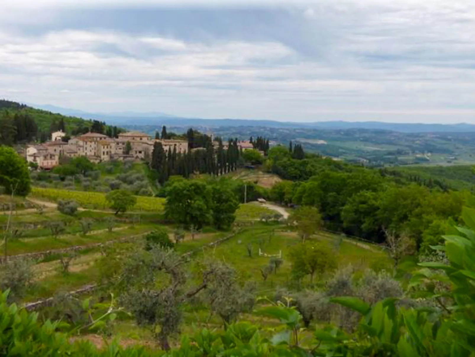 Cerretino Vigna-Area
