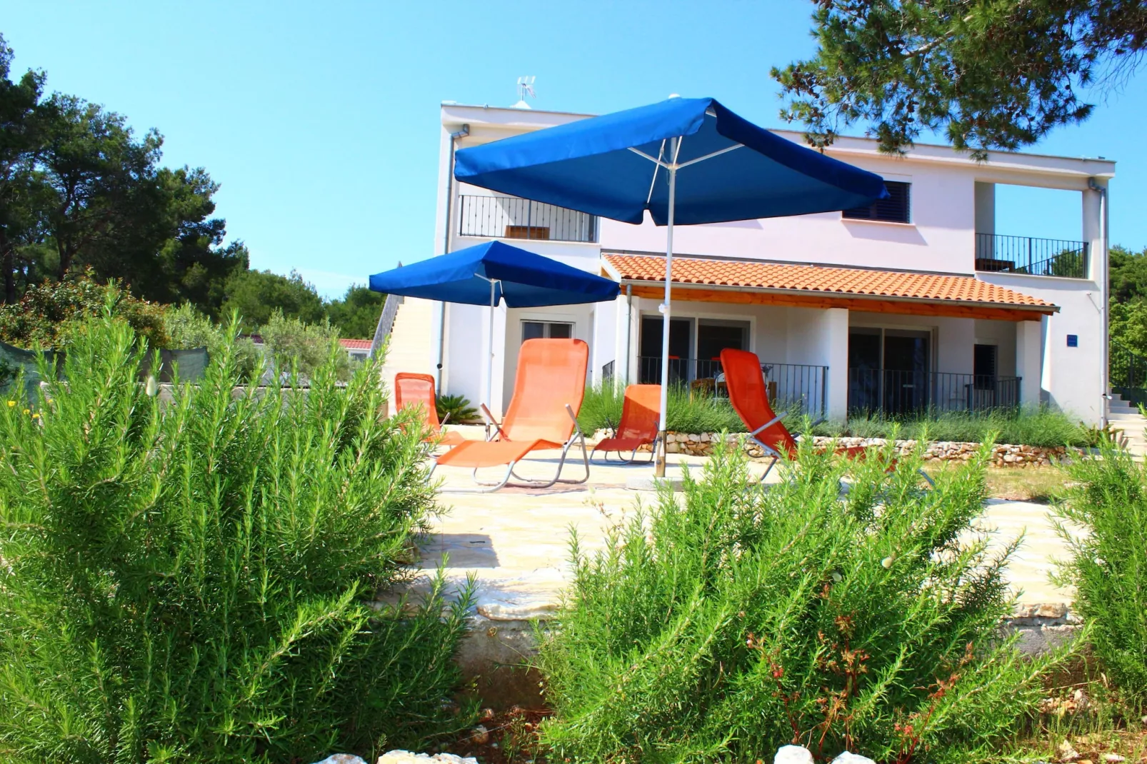 Gorgonia S2-Exterior summer
