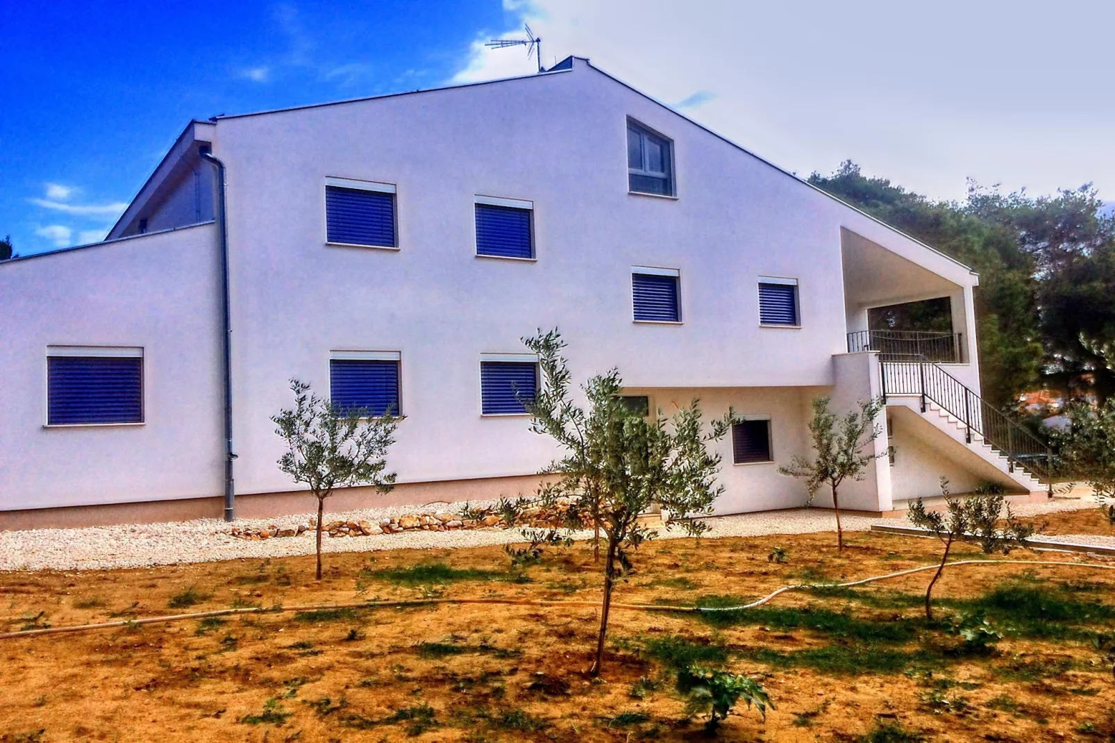 Gorgonia S2-Exterior summer