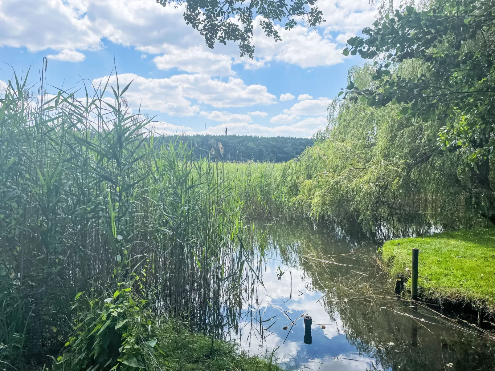 Am Pälitzsee-Outside